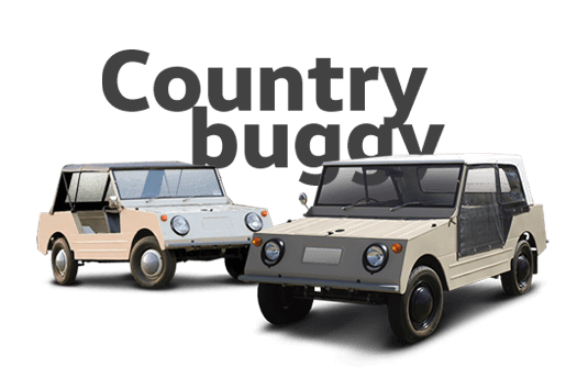 Country-Buggy