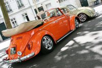 beetle-cabrio-or