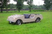 vw-country-buggy