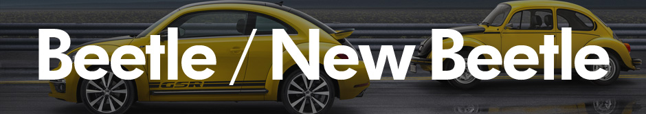 header tuning beetle