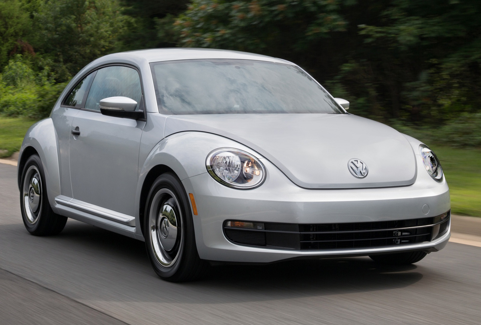 Beetle 2015