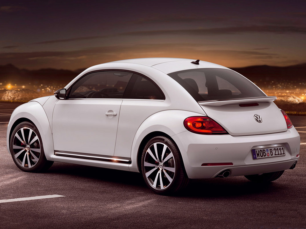 Beetle 2015 2
