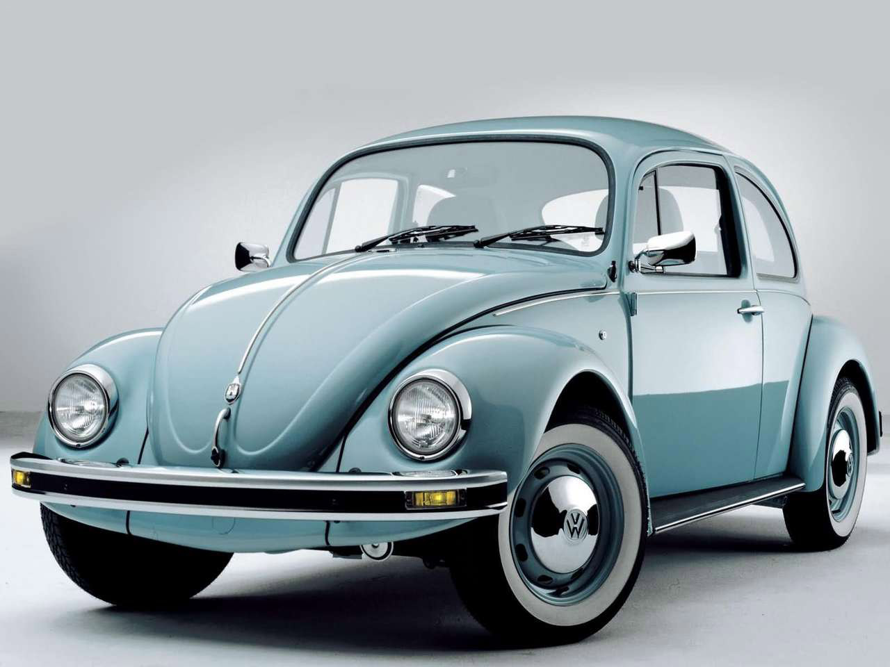 Beetle 1980