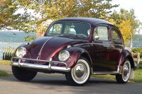 vw-bug-58744