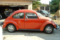 vw_bug_003