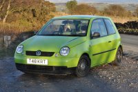 lupo-green